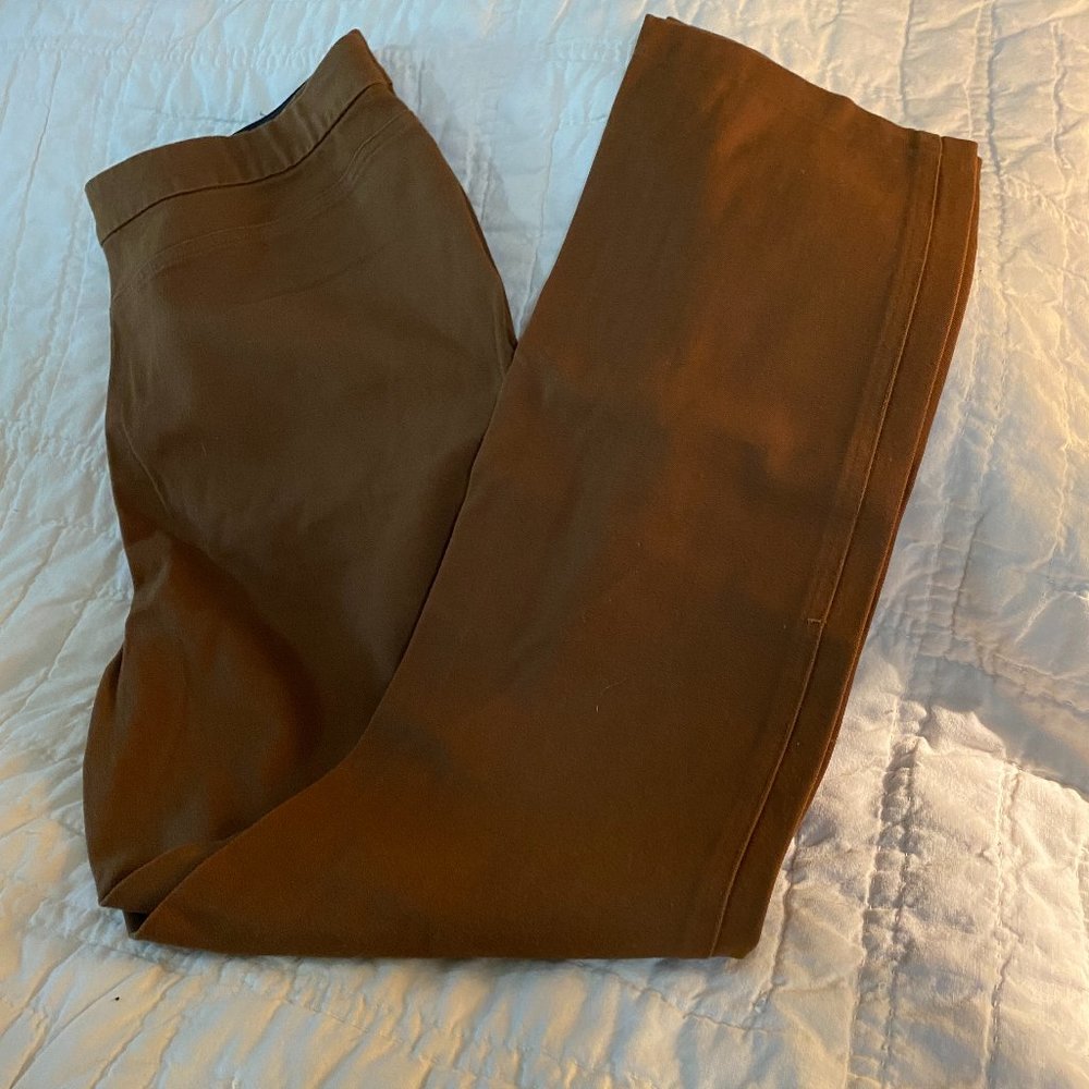 GUC~ Rafaella Rust color Classic stretch pants~sz10P
